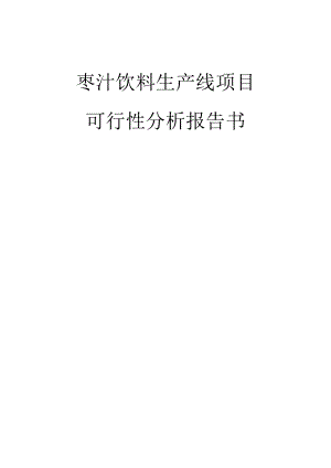 枣汁饮料生产线项目可行性分析报告 .doc