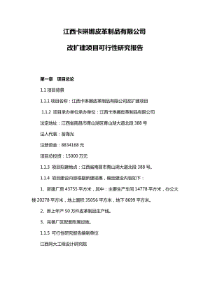 皮革制品生产改扩建项目可行性研究报告.doc