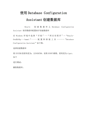 使用Database Configuration Assistant创建数据库.docx