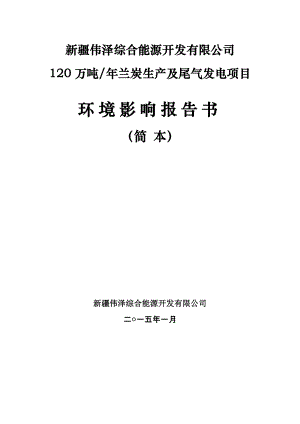 新疆伟泽综合能源开发有限公司120万吨兰炭生产及尾气发电项目报告书简本.doc