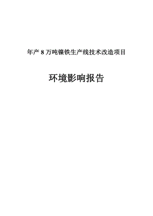 产8万吨镍铁生产线技术改造项目环境影响报告.doc