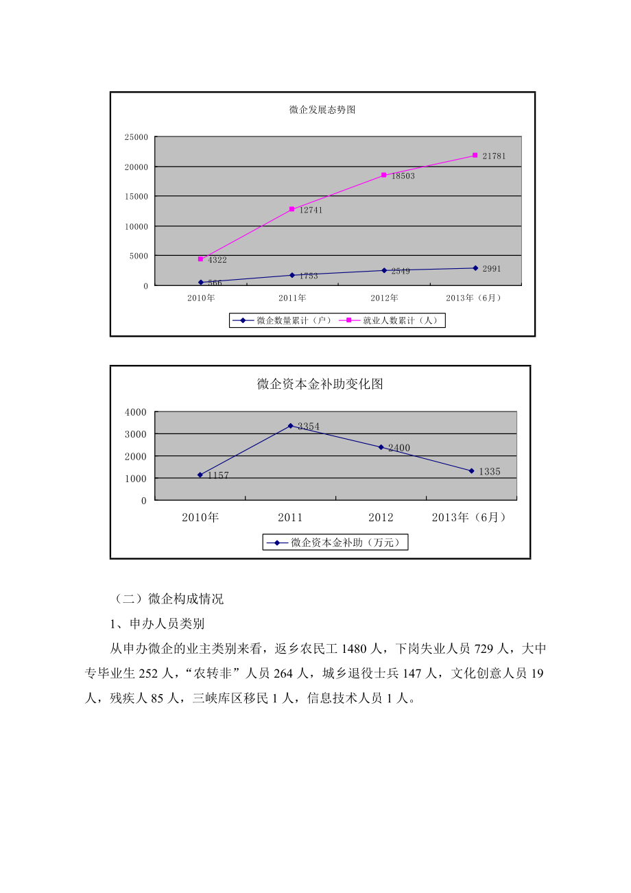 微型企业发展情况调研报告.doc_第2页