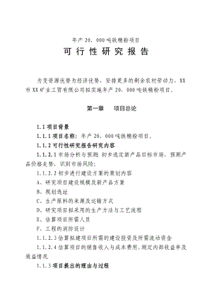 产20000吨铁精粉项目可行性研究报告.doc