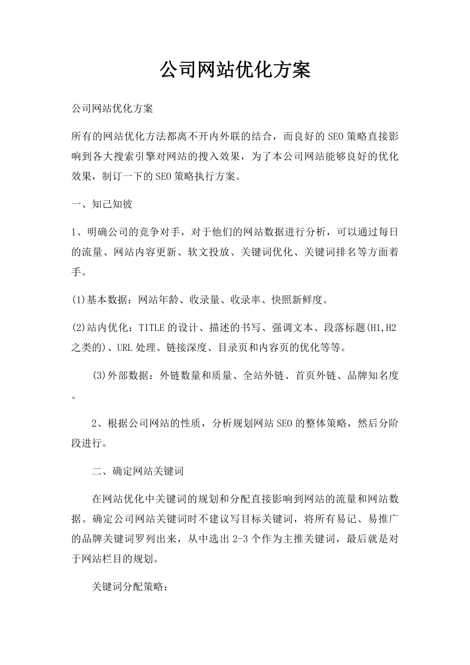 公司网站优化方案.docx_第1页