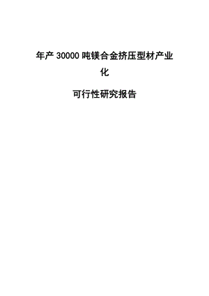 产30000吨镁合金挤压型材产业化项目可行性研究报告.doc