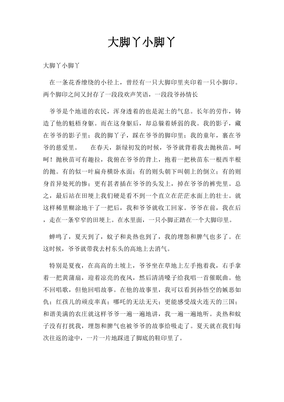 大脚丫小脚丫.docx_第1页