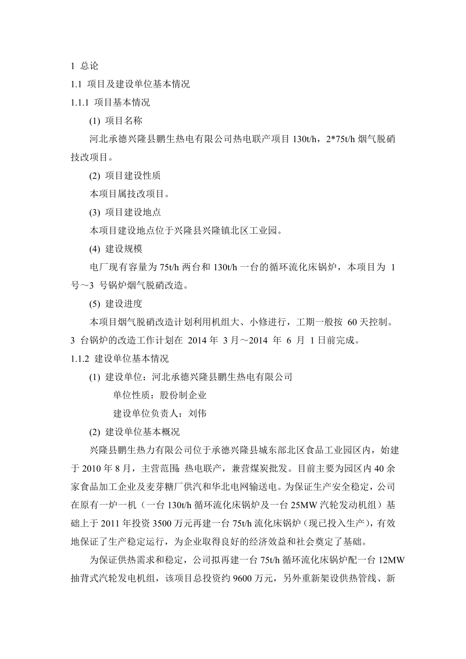 兴隆鹏生热力SNCR脱硝技改项目可行性研究报告.doc_第2页