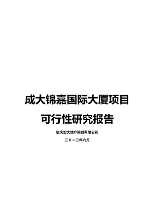 成大锦嘉国际大厦项目可行性研究报告.doc