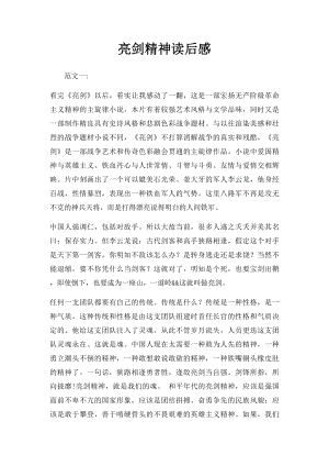 亮剑精神读后感(1).docx