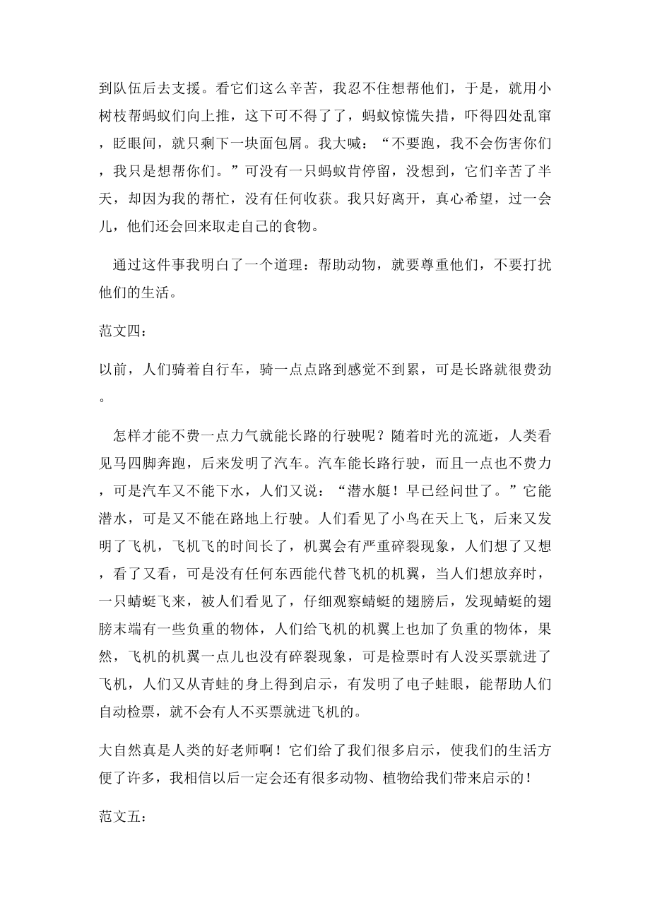 大自然给了我们许多启示.docx_第3页