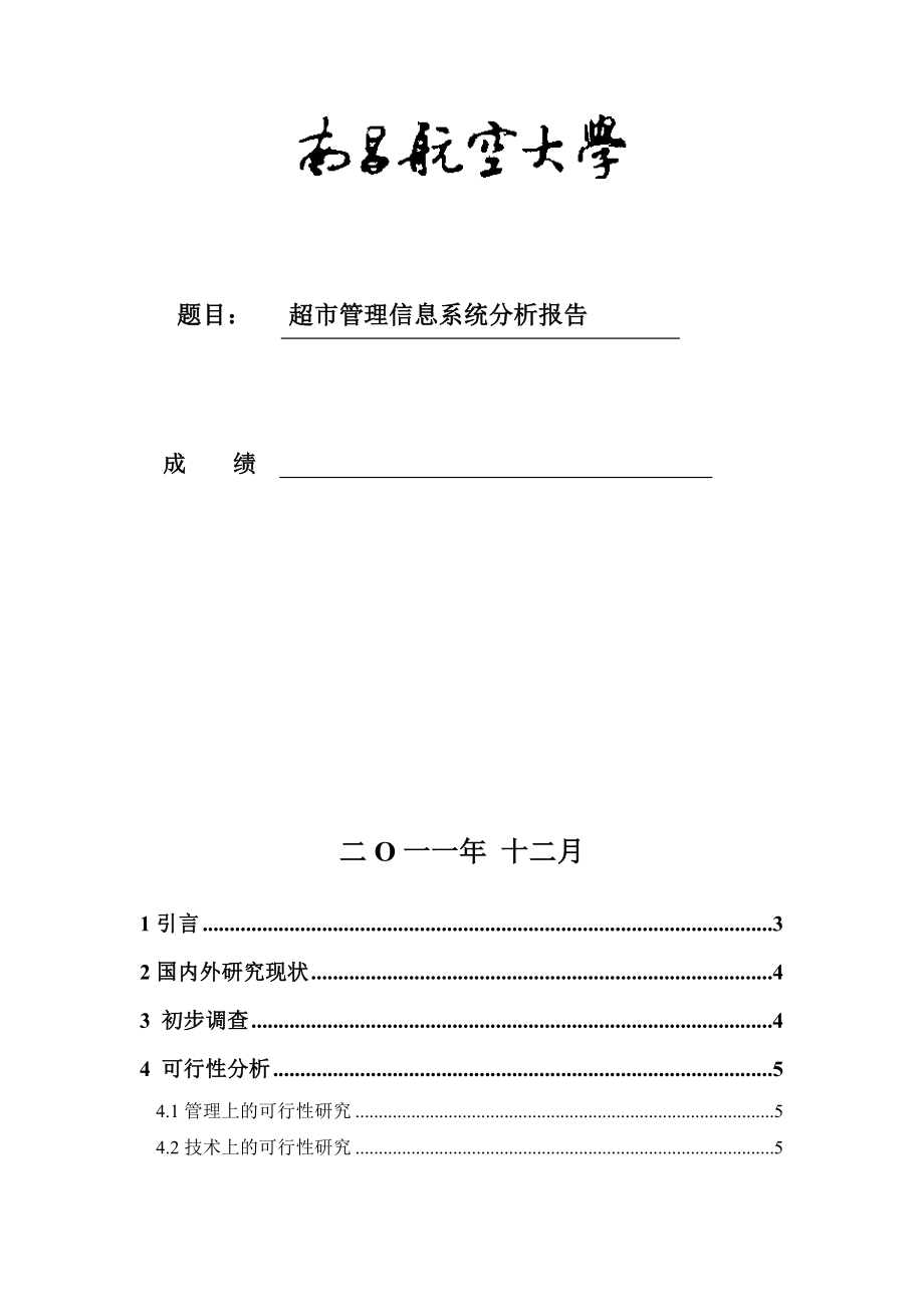 超市管理信息系统分析报告.doc_第1页