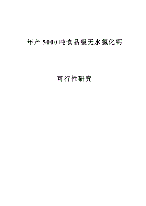 产5000吨食品级无水氯化钙(盐酸石灰石)可行性研究报告.doc