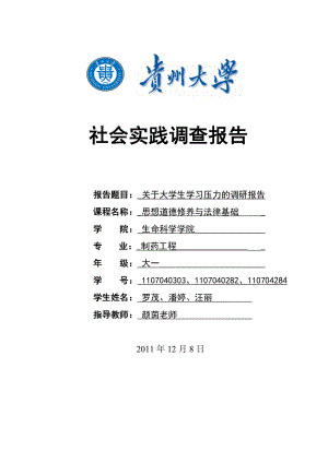 关于大学生学习压力调研社会实践调查报告.doc