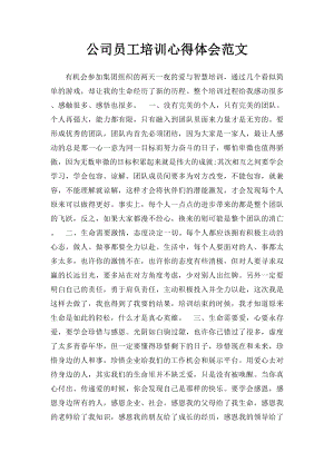 公司员工培训心得体会范文.docx