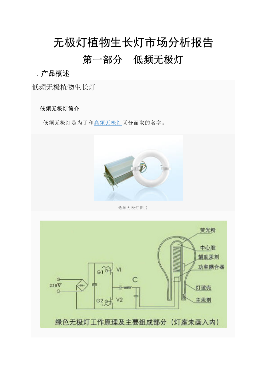 无极灯植物生长灯市场分析报告.doc_第1页