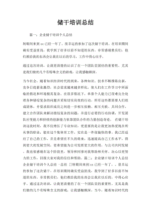 储干培训总结.docx