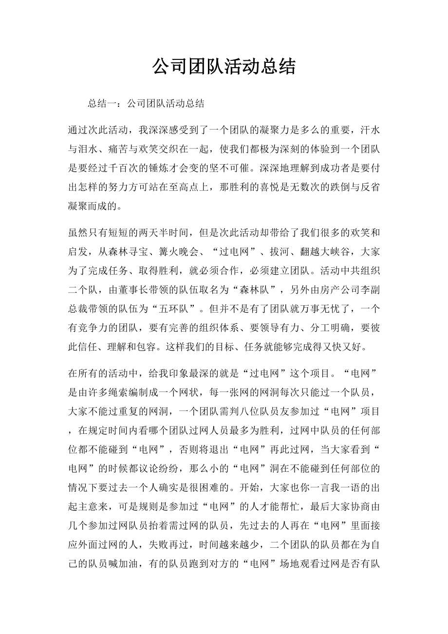 公司团队活动总结.docx_第1页