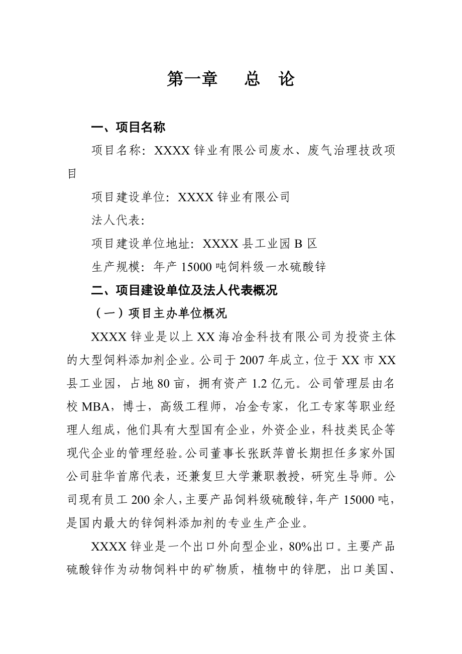 锌业有限公司废水、废气治理技改项目可行性研究报告.doc_第1页