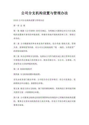 公司分支机构设置与管理办法.docx