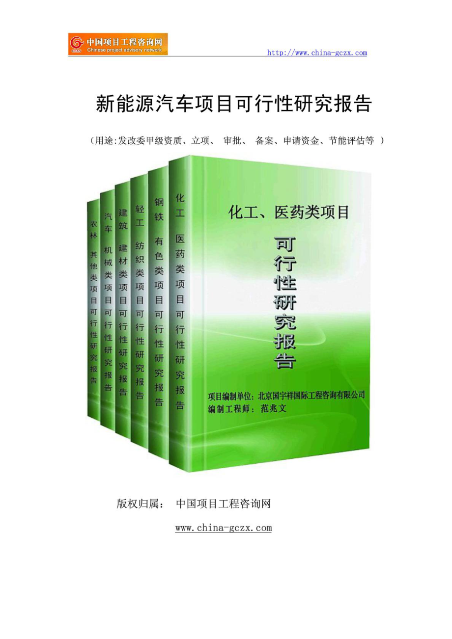 新能源汽车项目可行性研究报告范文格式(专业经典案例).doc_第1页