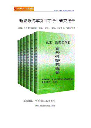 新能源汽车项目可行性研究报告范文格式(专业经典案例).doc