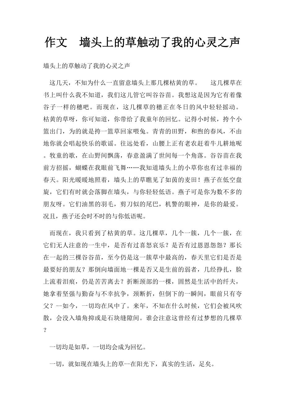 作文墙头上的草触动了我的心灵之声.docx_第1页