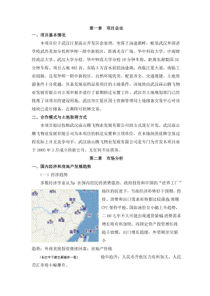 腾飞汤逊湖项目可行性研究报告.doc