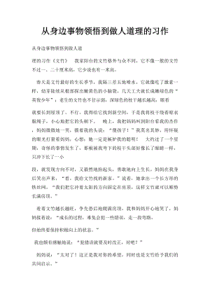 从身边事物领悟到做人道理的习作.docx