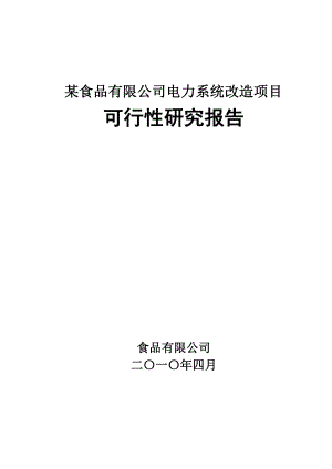 某食品有限公司电力系统项目可行性评估报告.doc