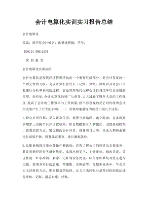 会计电算化实训实习报告总结.docx