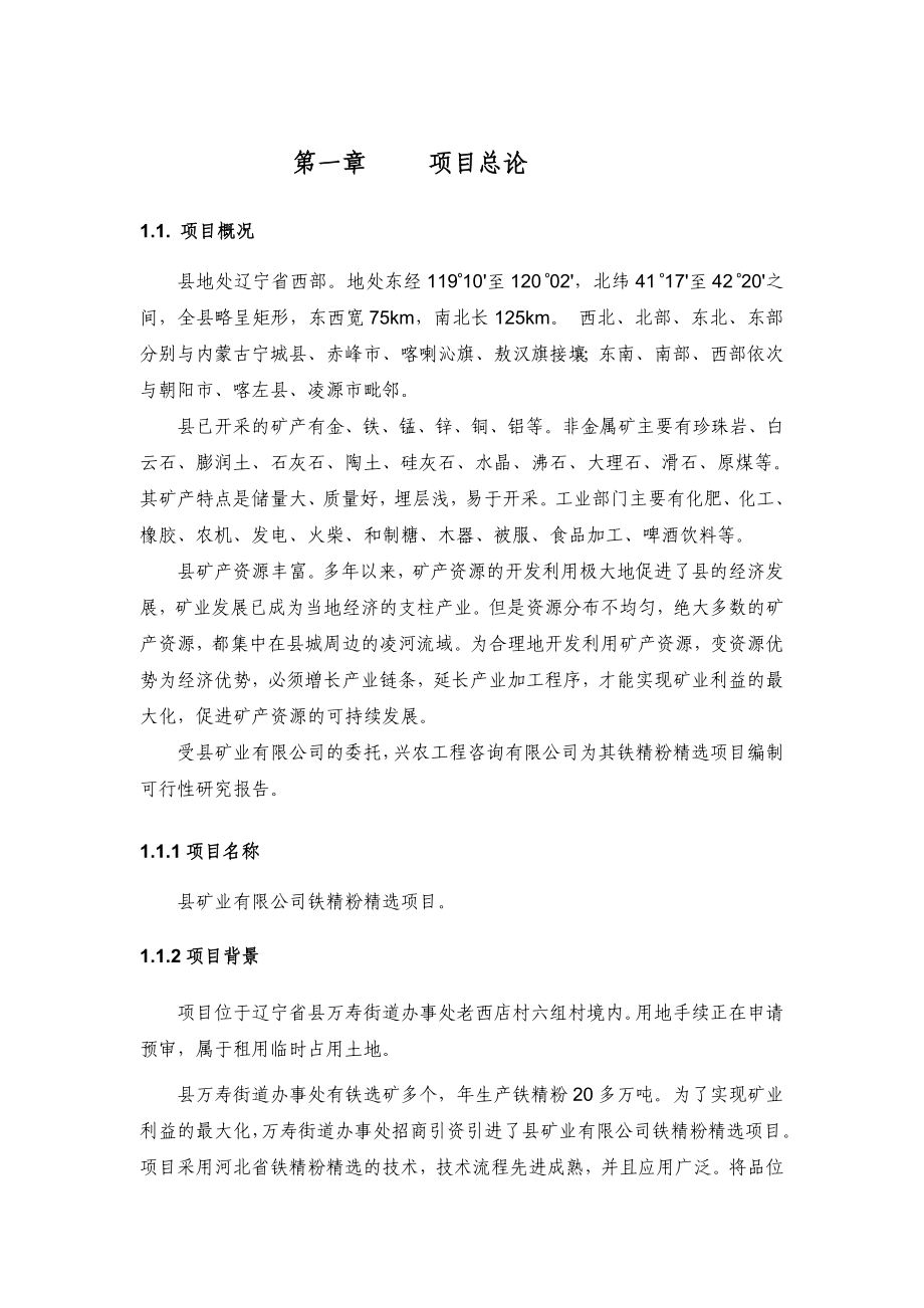 铁精粉精选项目可行性研究报告.doc_第1页