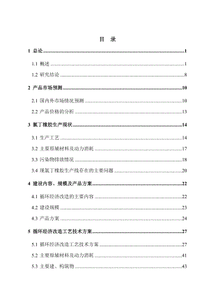 某化工公司氯丁橡胶循环经济技术改造项目可行性研究报告.doc