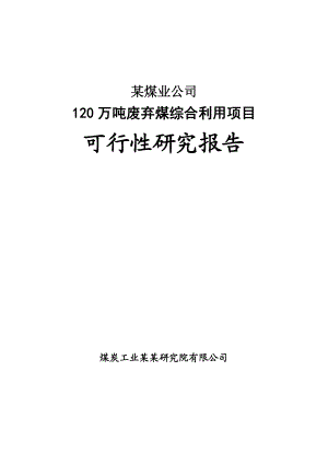 某某公司120万吨废弃煤综合利用项目可行性研究报告.doc