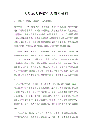 大反思大检查个人剖析材料.docx