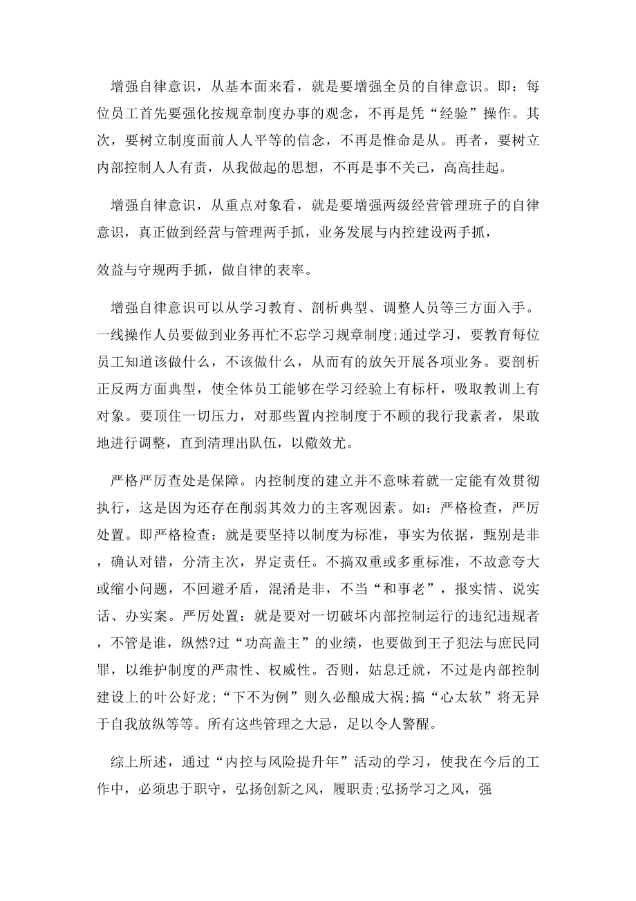 内控与风险管理提升心得体会.docx_第3页