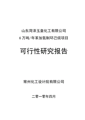 产6万吨苯加氢制环己烷项目可行性研究报告书.doc