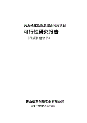 污泥碳化处理及综合利用项目可行性研究报告.doc