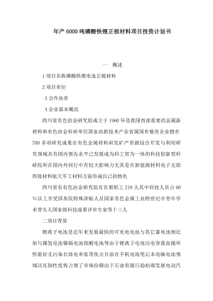 产6000吨磷酸铁锂正极材料项目投资计划书（可编辑）.doc