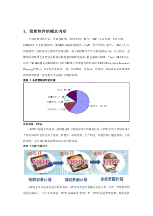 管理软件行业研究报告.doc