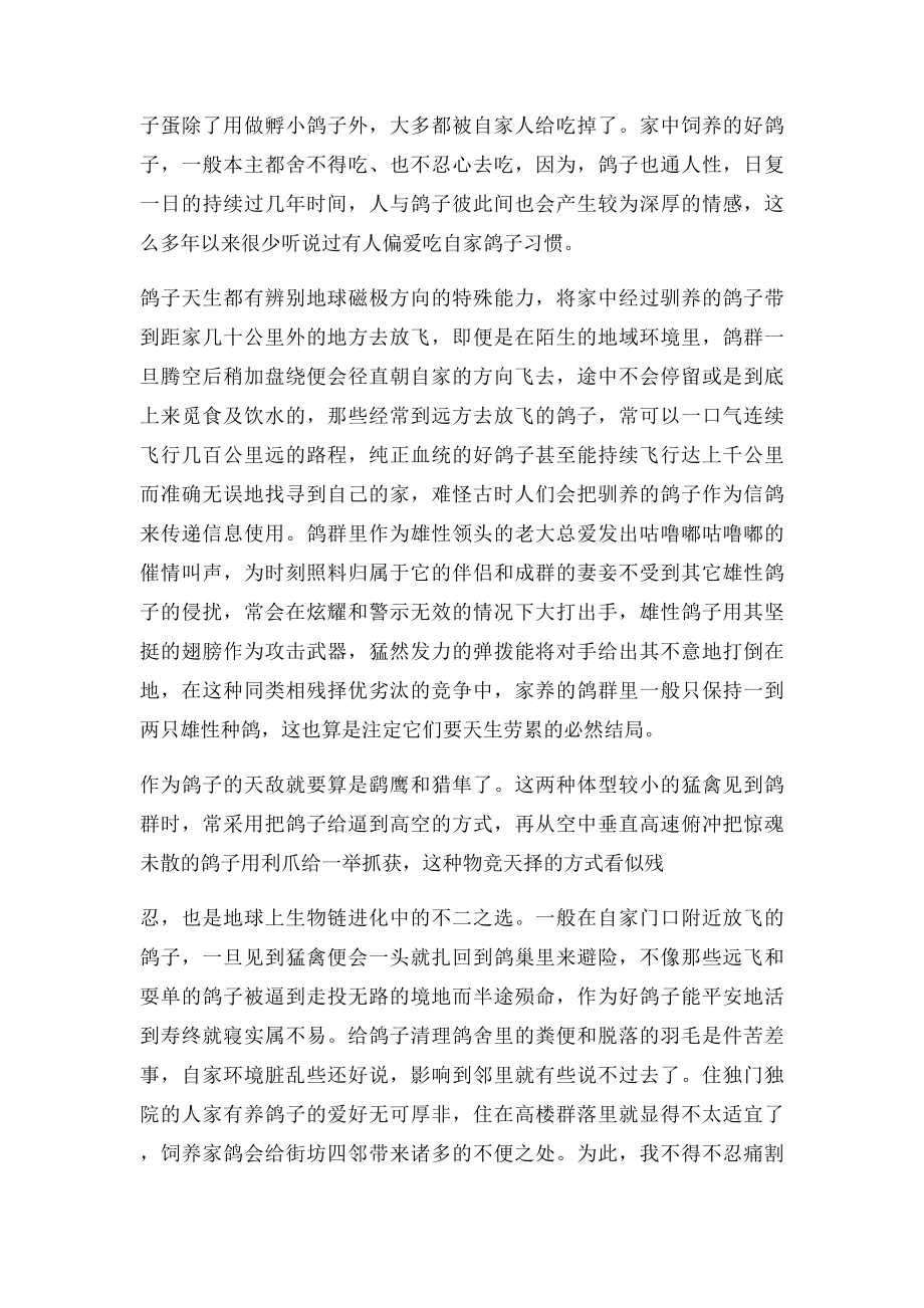 养鸽经验.docx_第2页