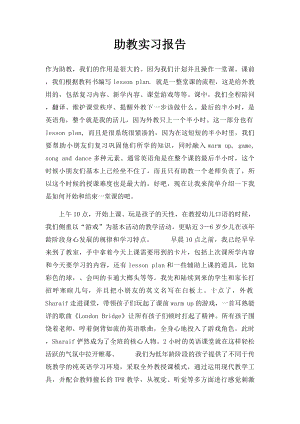 助教实习报告(1).docx