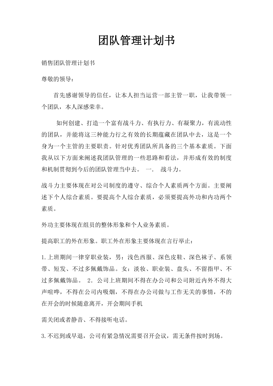 团队管理计划书.docx_第1页