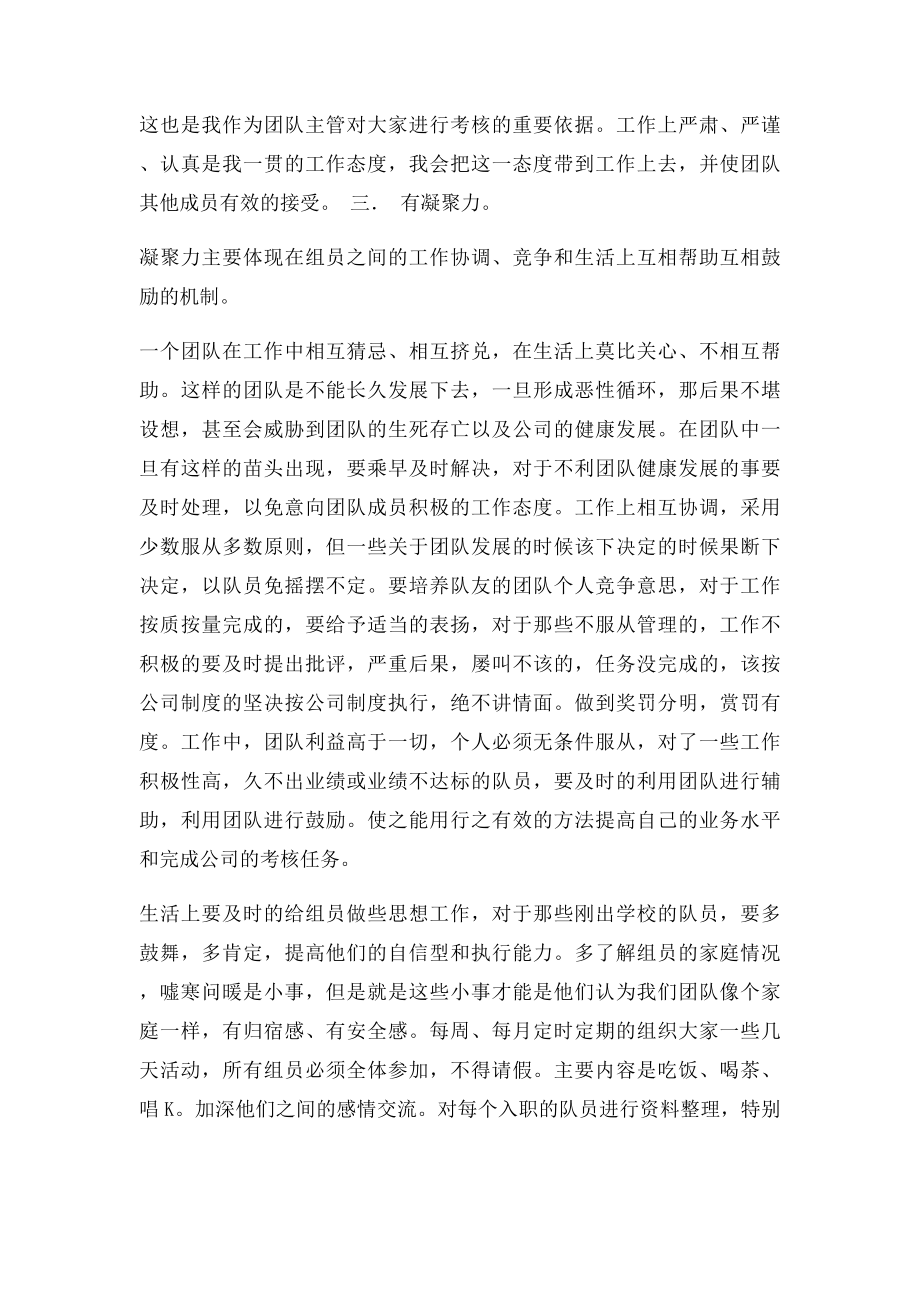 团队管理计划书.docx_第3页