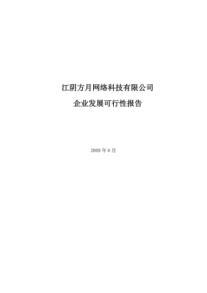 网络科技公司企业发展可行性报告.doc