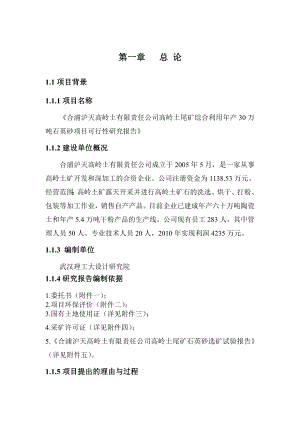 (终结版)高岭土尾矿综合利用产30万吨石英砂项目可行性研究报告.doc