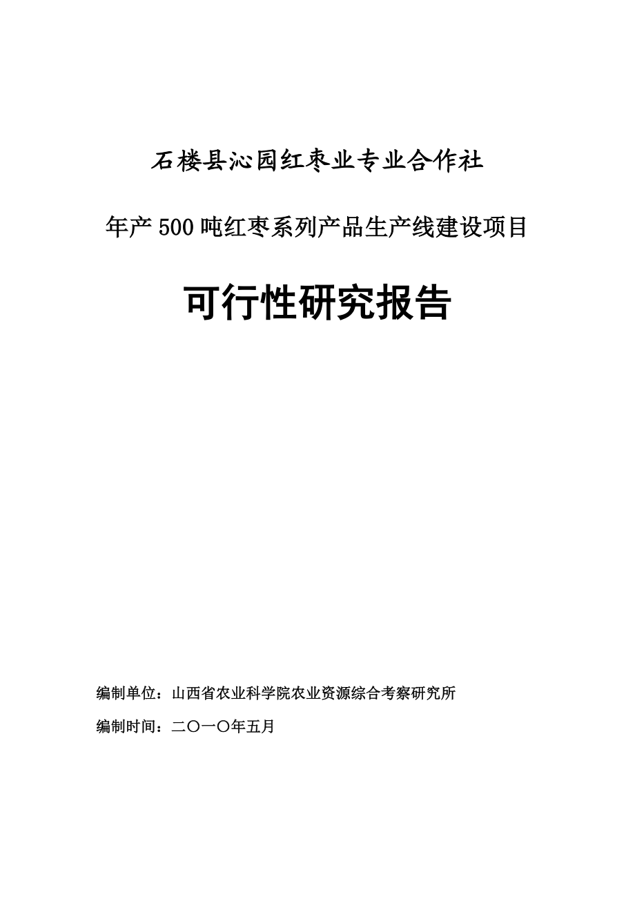 产500吨红枣系列产品生产线建设项目可行性研究报告.doc_第1页