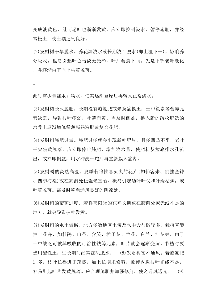 发财树叶子发黄怎么办.docx_第2页