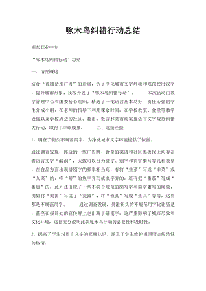 啄木鸟纠错行动总结.docx