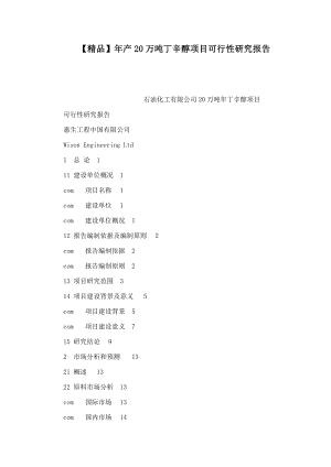 【精品】产20万吨丁辛醇项目可行性研究报告（可编辑）.doc