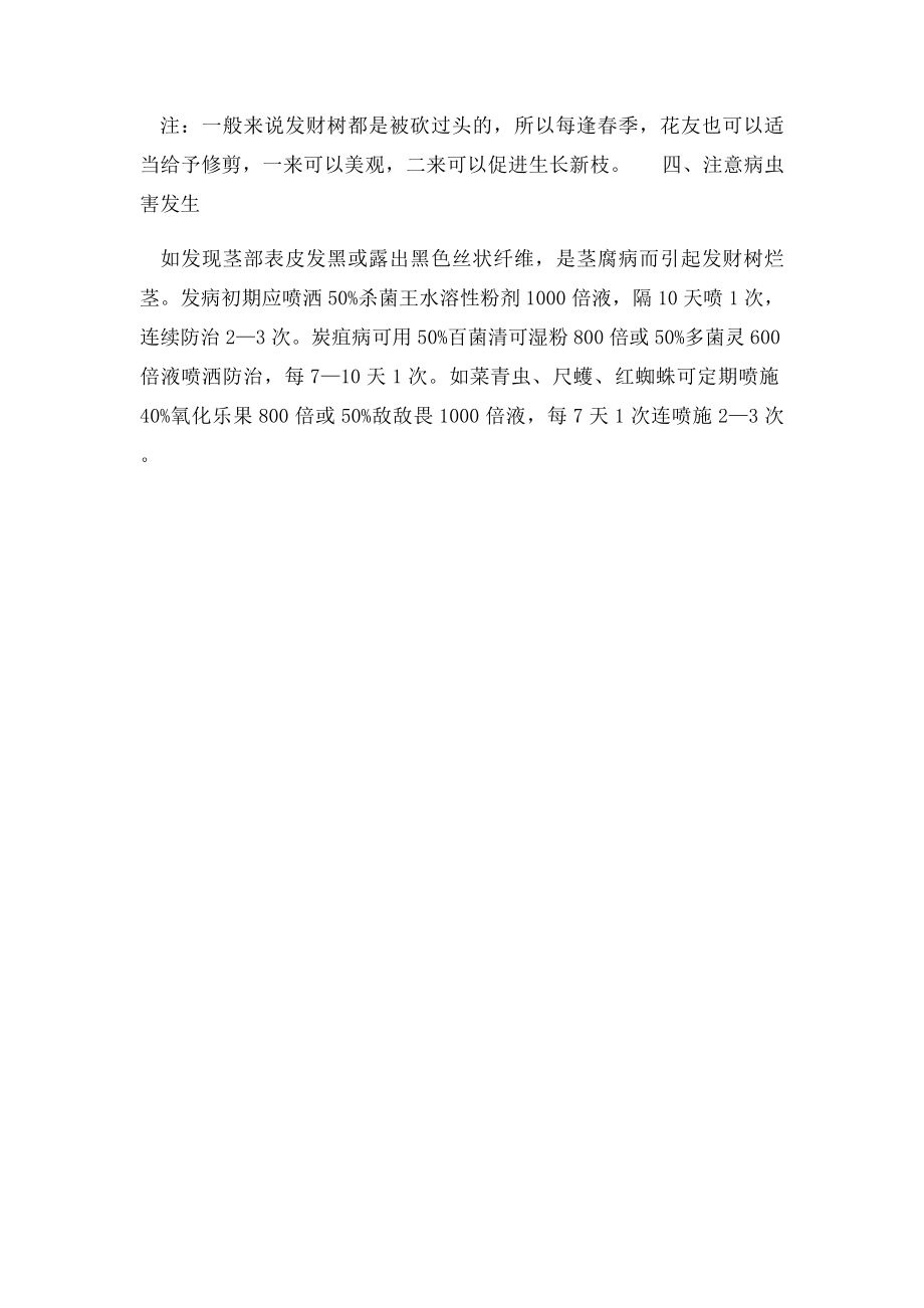 发财树的养植方法.docx_第2页